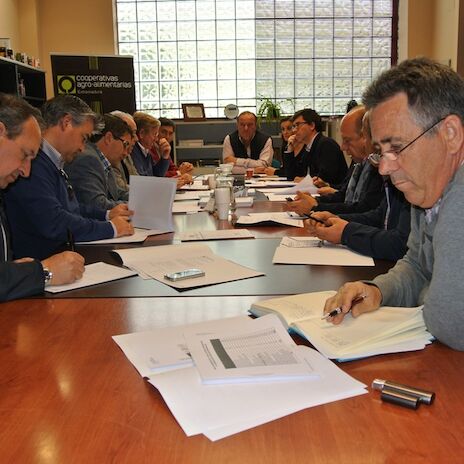 Cooperativas Agroalimentarias Extremadura elige a los presidentes de sus sectoriales agroganaderas 