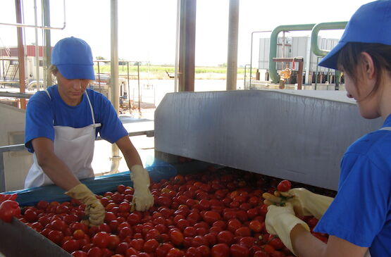 El 12% de la base social de las cooperativas asociadas a Cooperativas Extremadura son jóvenes