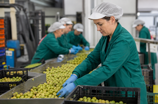 En marcha un plan pionero para prevenir las pérdidas y el desperdicio alimentario en el cooperativismo extremeño
