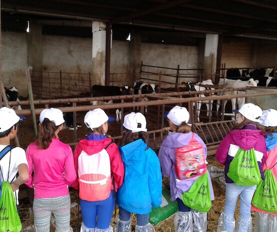 ‘La Granja de Cooprado’ recibe a 400 niños extremeños