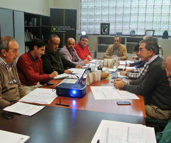 Cooperativas Extremadura estima una producción de arroz de 151.838 toneladas en la región