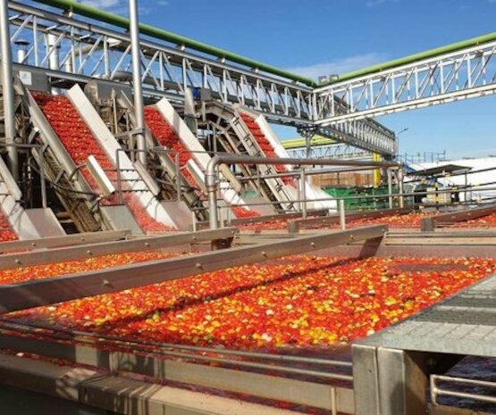Convocadas ayudas para la integración de cooperativas agroalimentarias, dotada con 500.000 euros