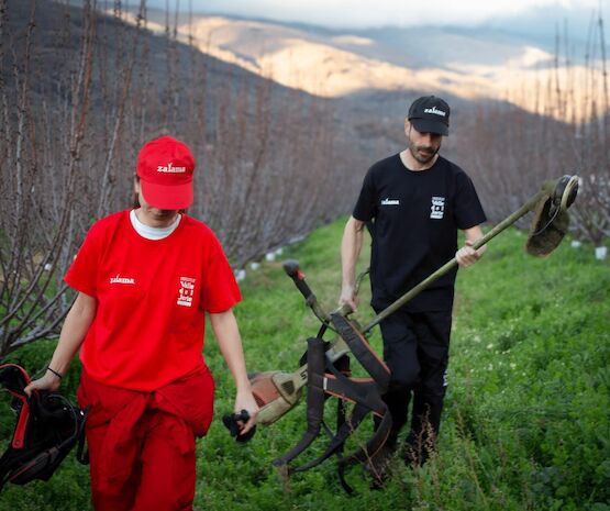 La agricultura que frena el fuego: el papel de la cereza del Jerte frente al incendio de Jarilla