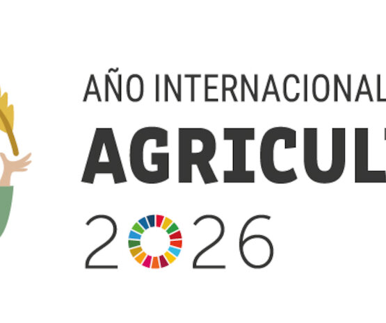 2026 es el Año Internacional de la Agricultora