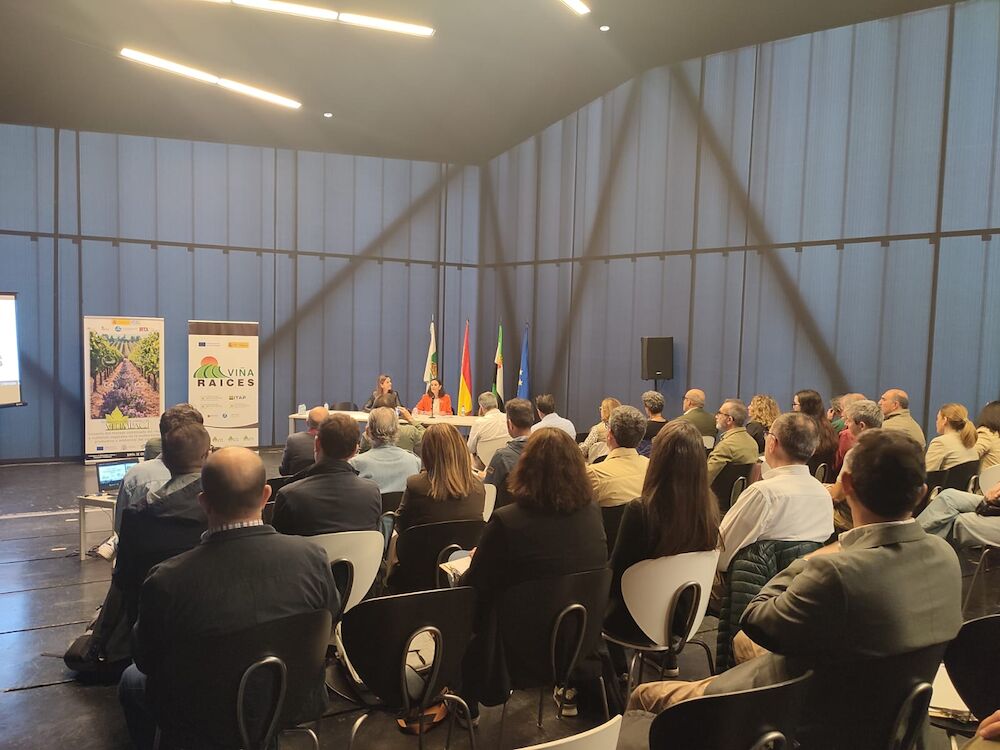 Extremadura impulsa la innovación en viticultura sostenible con los primeros resultados del proyecto “Viña-Raíces”