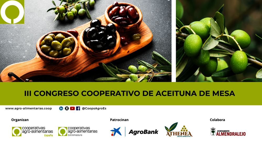 Cooperativas Extremadura, anfitriona del III Congreso Cooperativo de Aceituna de Mesa