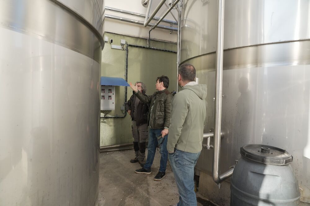 EVOP: el hueso de aceituna se convierte en energía para las cooperativas