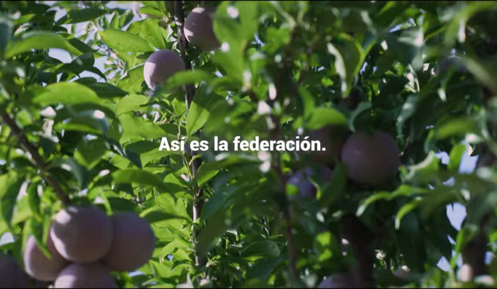 Cooperativas Agro-alimentarias Extremadura muestra en un vídeo la fuerza del cooperativismo agroalimentario de la región