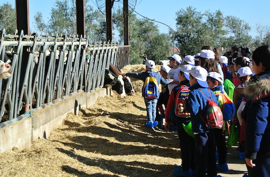 ‘La Granja de Cooprado’ permite a 700 escolares extremeños ser ganaderos por un día