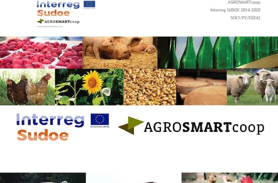 El compostaje, a debate en unas jornadas de Cooperativas Extremadura