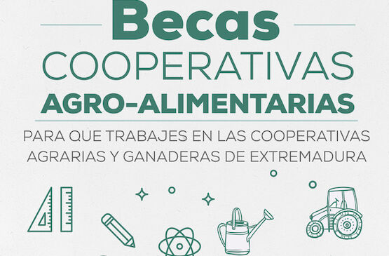 Publicadas las bases de las Becas Cooperativas Agro-alimentarias para facilitar la incorporación laboral de jóvenes