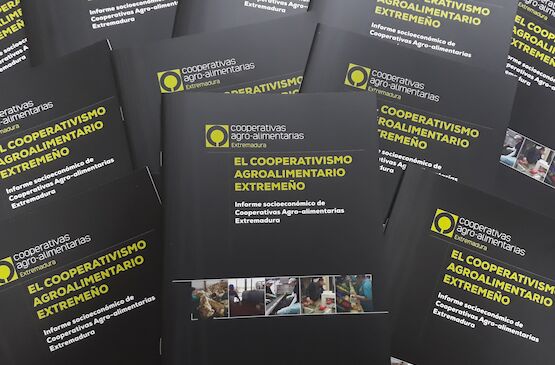 Publicado el ‘Informe Socioeconómico sobre el Cooperativismo Agroalimentario de Extremadura’