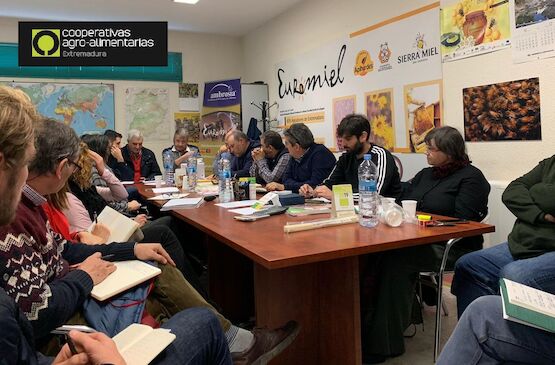 Cooperativas apícolas estudian la posibilidad de constituir un Grupo Operativo que mejore la lucha frente a la varroatosis