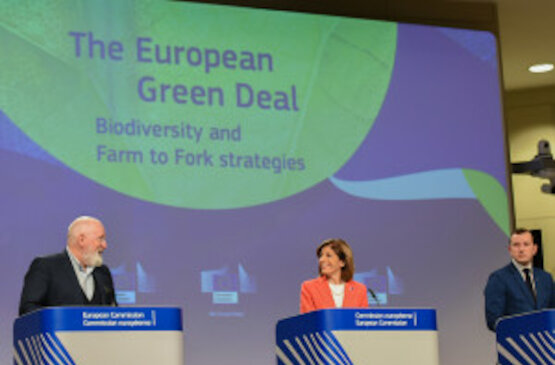 El papel de las cooperativas agroalimentarias será fundamental para afrontar la sostenibilidad económica ante los nuevos objetivos medioambientales