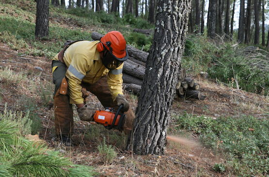 La época de peligro alto de incendios forestales arranca el 1 de junio en Extremadura