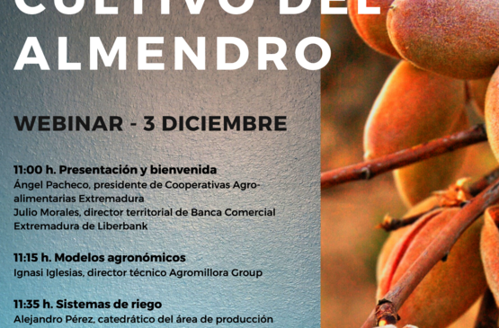 El cultivo del almendro centra un seminario online de Cooperativas Extremadura