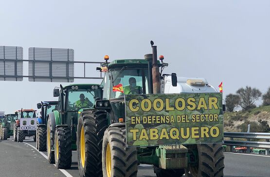 Cooperativas Agro-alimentarias se reunirá con Planas para abordar el cultivo de tabaco ante la nueva PAC