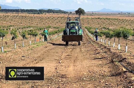 Agricultores extremeños reciclan 281 toneladas de envases y ahorran así la emisión de casi 400 toneladas de Co2 en la región