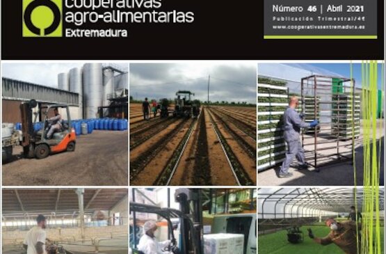 Disponible el último número de la revista Cooperativas Agro-alimentarias Extremadura