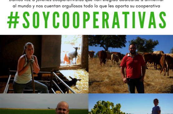 #SoyCooperativas ¿y tú?