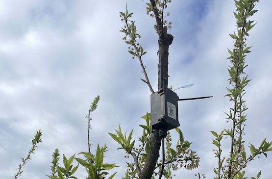 Iniciación a la digitalización con tecnología LoRaWAN de bajo coste