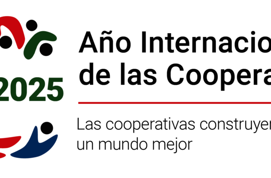 2025 conmemora el Año Internacional de las Cooperativas