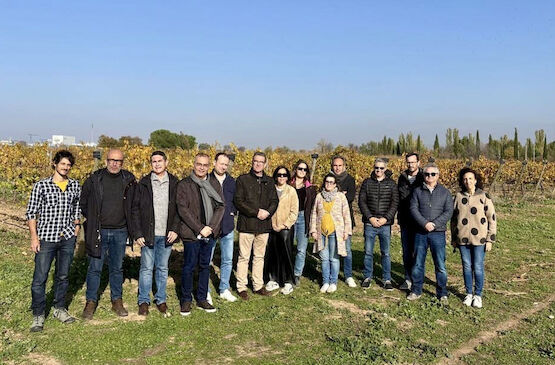 Avances en la investigación sobre cubiertas vegetales para una viticultura sostenible en zonas semiáridas de España