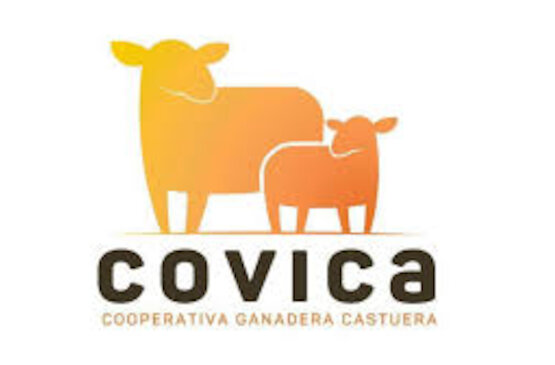 COVICA da un paso firme hacia la igualdad con su nuevo Código de Buenas Prácticas