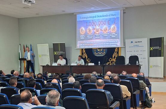 Las cooperativas de aceituna de mesa reivindican la calidad de su producto durante el III Congreso Cooperativo del sector