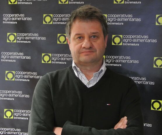 La apicultura es fundamental para nuestra sostenibilidad y necesitamos medidas que garanticen su continuidad