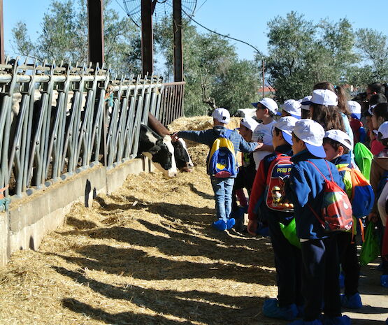 ‘La Granja de Cooprado’ permite a 700 escolares extremeños ser ganaderos por un día