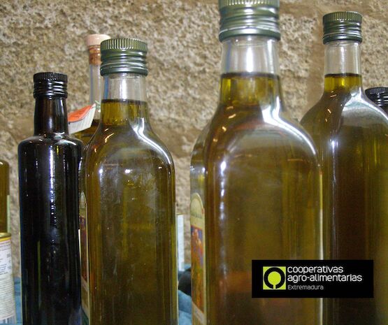 La UE aprueba la activación del almacenamiento privado de aceite de oliva