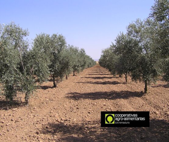 Declarada la época de peligro medio de incendios forestales entre el 16 y el 21 de octubre