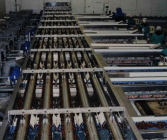 Agrupación Valle del Jerte amplía sus instalaciones y suma una nueva calibradora óptica