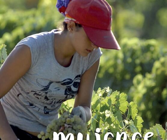 Mujeres Cooperativistas de Extremadura