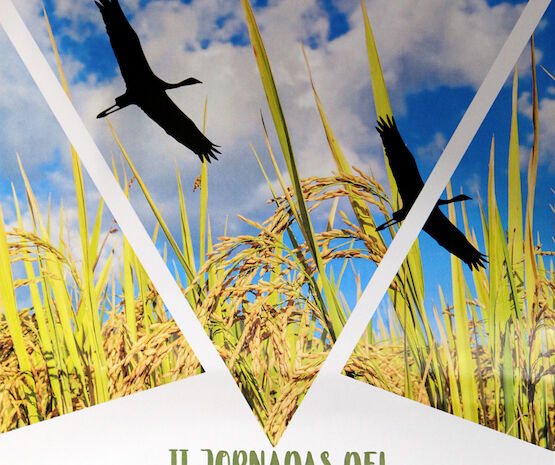 Palazuelo celebra las II Jornadas del Arroz y las Aves de Arrozal el 29 y 30 de marzo