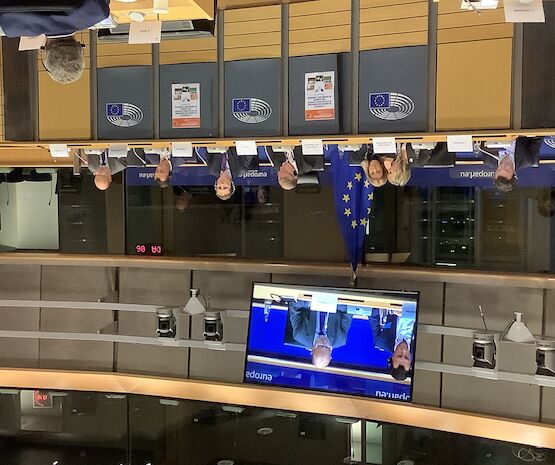 Cooperativas Agro-alimentarias expone en el Parlamento Europeo el impacto de Mercosur en los sectores mediterráneos