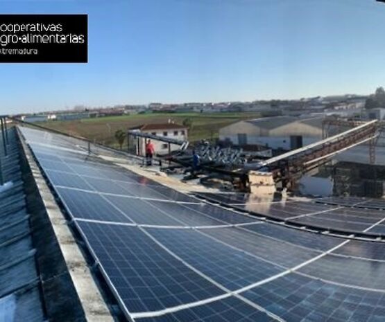 C.A.V.E. “San José” apuesta por el medio ambiente con la construcción de una planta de tratamiento de aguas y paneles solares