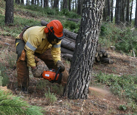 La época de peligro alto de incendios forestales arranca el 1 de junio en Extremadura