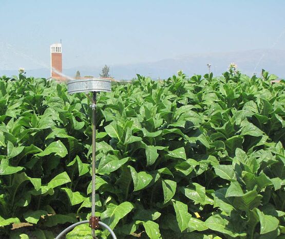 Convocadas ayudas para modernizar las redes principales de riego de Extremadura