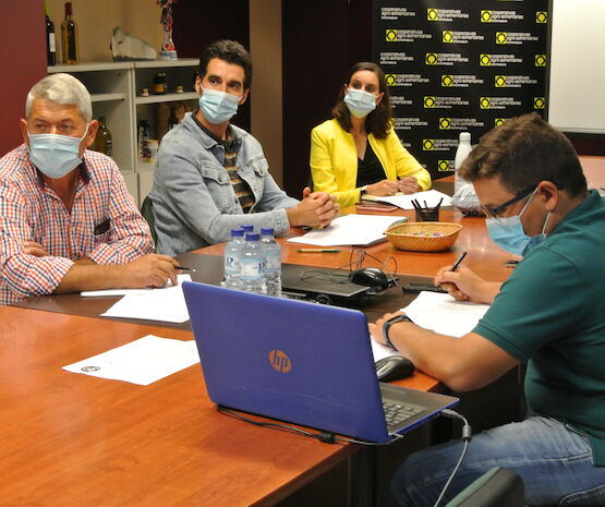 Cooperativas Extremadura plantea mejoras al seguro de tomate para industria para que cubra daños por altas temperaturas persistentes