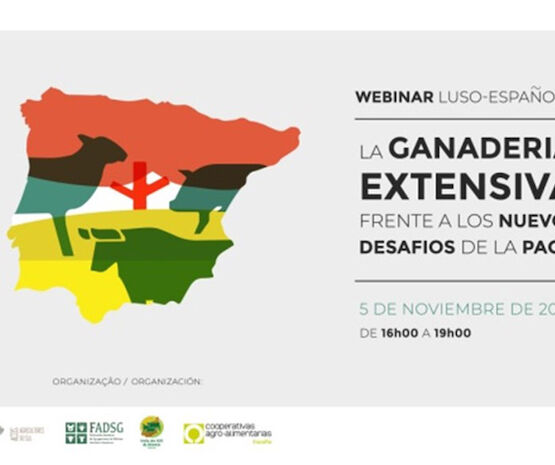 Representantes de Portugal y España reflexionan sobre la ganadería extensiva frente a los nuevos desafíos de la PAC