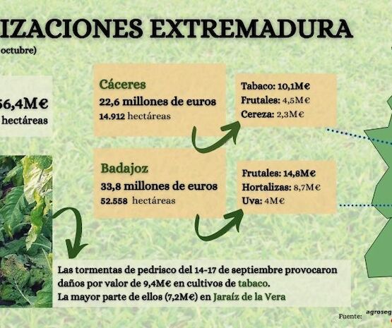 Agroseguro abona 18,2 millones de euros en indemnizaciones por siniestros producidos en Extremadura