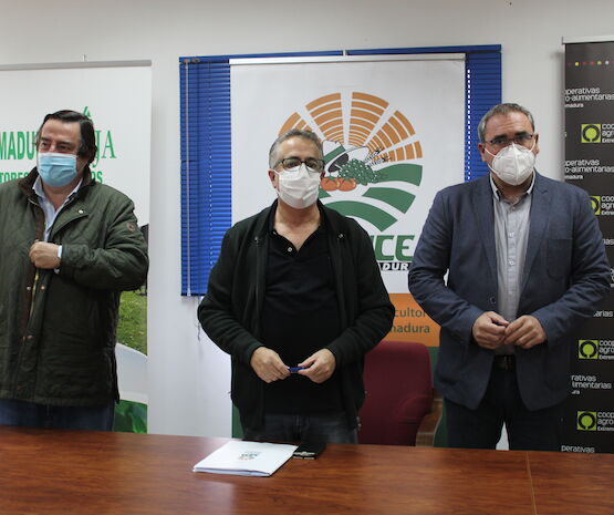 El sector de tabaco paralizarán la entrega a las industrias ante la amenaza de que el cultivo quede fuera de la PAC