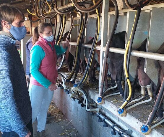 Cooperativas Extremadura pone en marcha el intercambio de experiencias y formación entre jóvenes del sector agrario