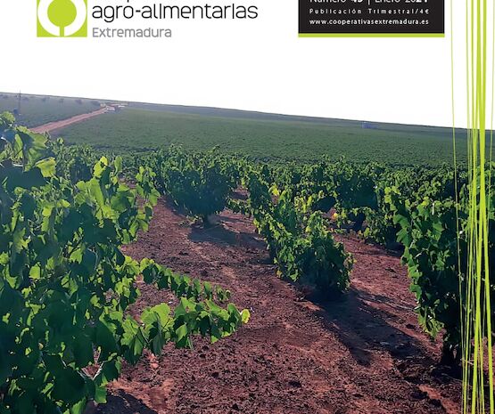 Disponible el último número de la revista Cooperativas Agro-alimentarias Extremadura