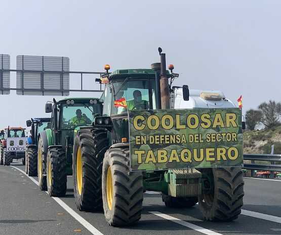 Cooperativas Agro-alimentarias se reunirá con Planas para abordar el cultivo de tabaco ante la nueva PAC