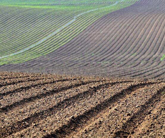 Cooperativas Extremadura muestra su satisfacción por la inclusión de La Vera como región productora en el Plan Estratégico Nacional de la PAC