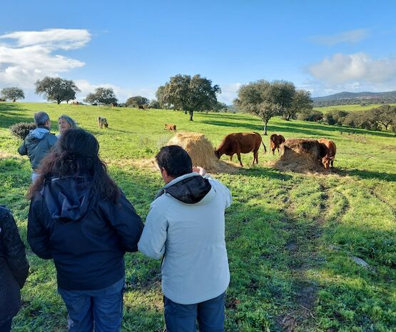 Arranca el proyecto PASTURE+: Productos ganaderos que restauran el capital natural, mitigan el cambio climático y promueven el desarrollo rural.