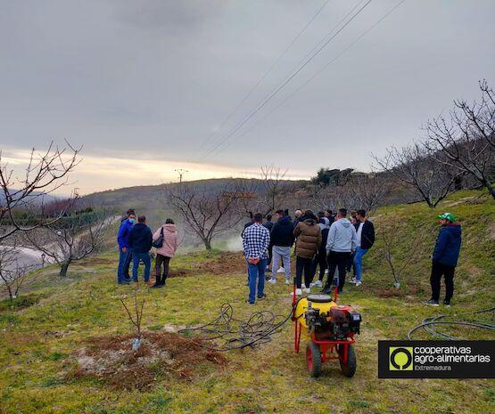 Cooperativas Extremadura capacita a 228 personas socias y trabajadoras de cooperativas a través de la iniciativa comunitaria Poises